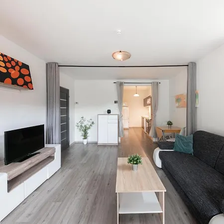 Roznov * Ceske Budejovice